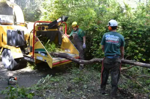 tree services Iuka